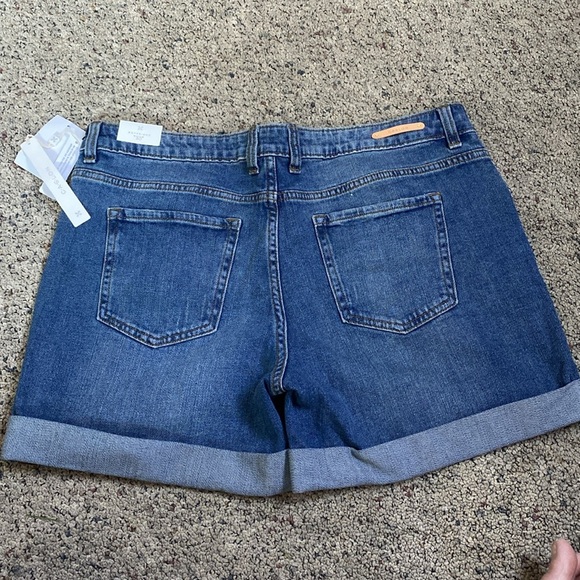 Caslon Boyfriend Midrise Jean Shorts Roll Cuff 5” Inseam Sz 30 (10) NWT - Picture 2 of 4